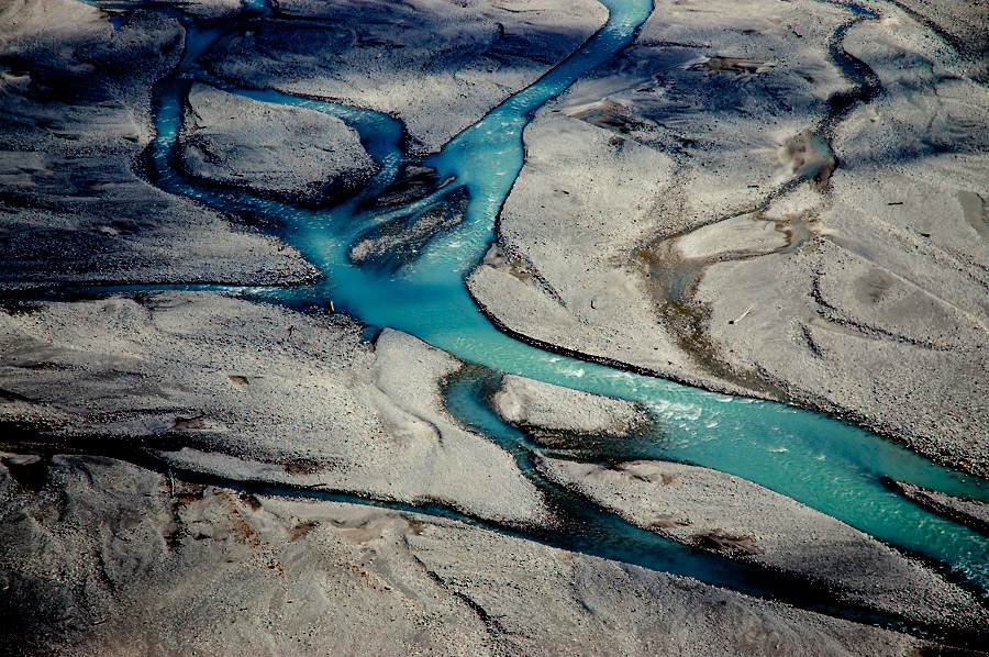 RicardoGPerez.Cat10Blueblood