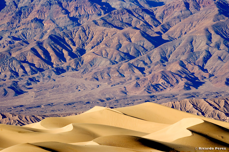 PN-USA 0720 fotonatura