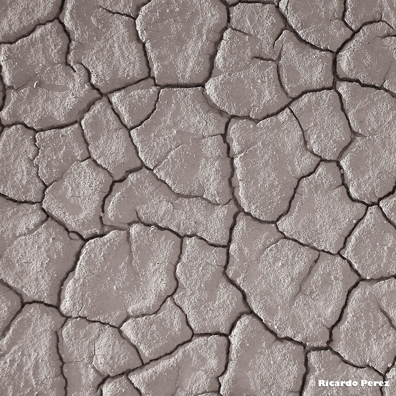 PN-USA 0753Fotonatura