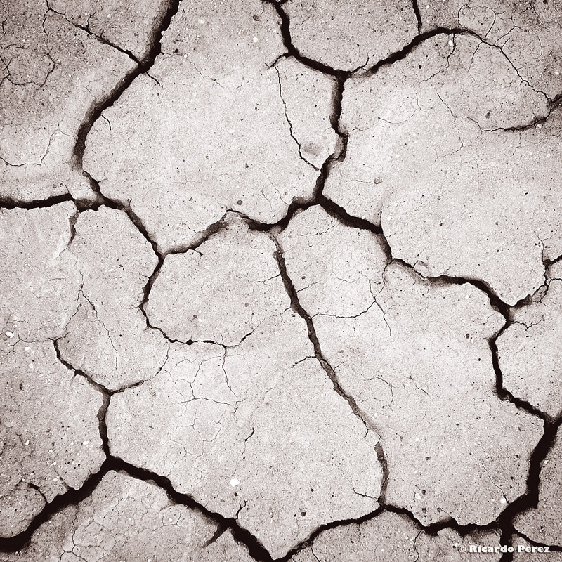 PN-USA 0755Fotonatura