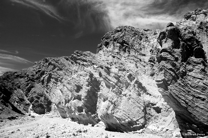 PN-USA 0865Fotonatura