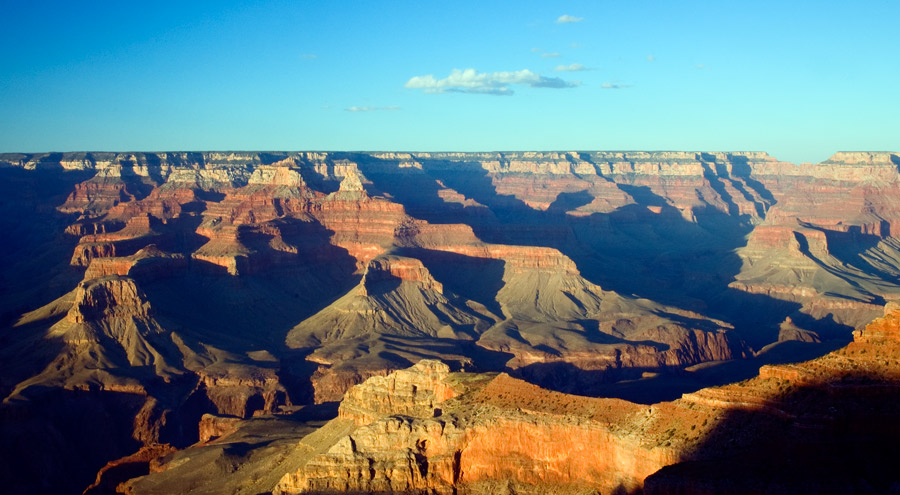 PN-USA 1181 fotonatura